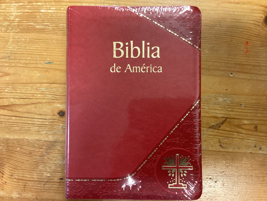 Biblia de America