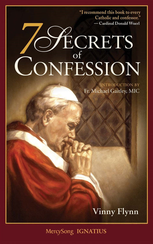 7 Secrets of Confession by Vinny Flynn