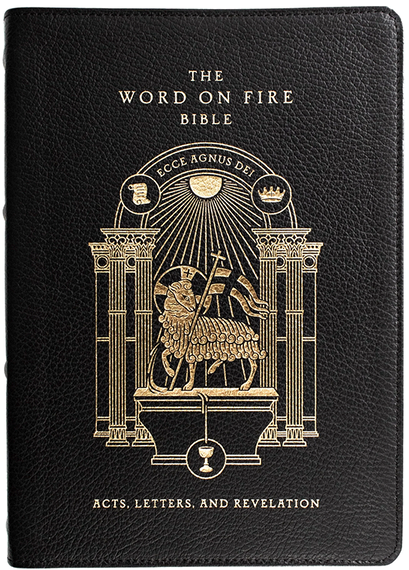 Word on Fire Bible ( vol 2 ) leather