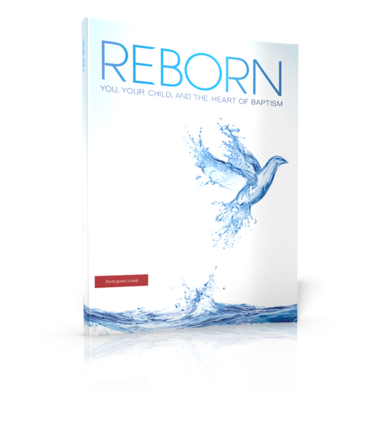Reborn - Participants Guide AUGUSTINE INSTITUTE