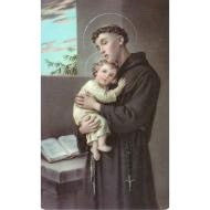 Saint Anthony Prayer Card