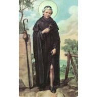 Saint Peregrine  Novena to Prayer Card
