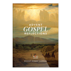 Advent Gospel Reflections 2025