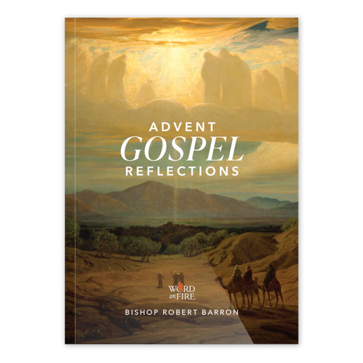 Advent Gospel Reflections 2025