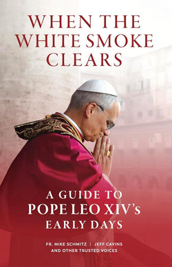 When the White Smoke Clears - A Guide to Pope Leo XIV's First Days