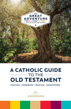 A Catholic Guide to the Old Testament