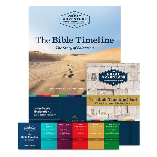 The Great Adventure  - The Bible Timeline Workbook