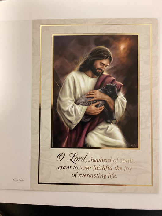 Jesus Our Shepherd - Mass Cards