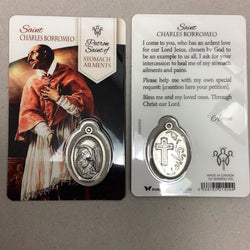 Saint Charles Borromeo - Patron Saint of Stomach Ailments