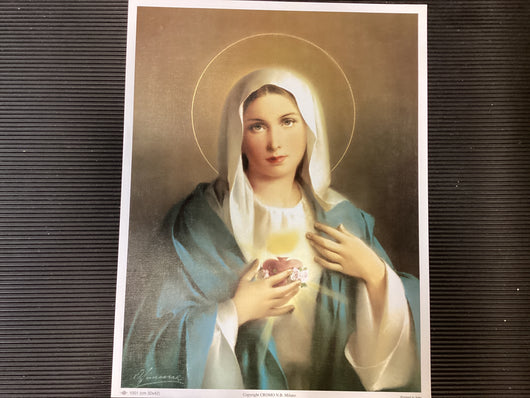 Immaculate Heart of Mary 12 by 16 in.