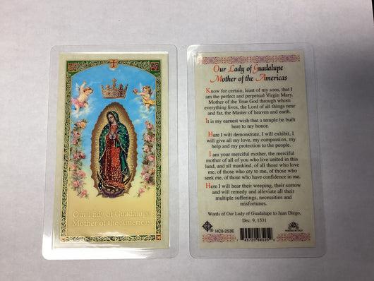 Our Lady of Guadalupe Mother of the Americas