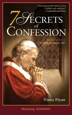 7 Secrets of Confession by Vinny Flynn