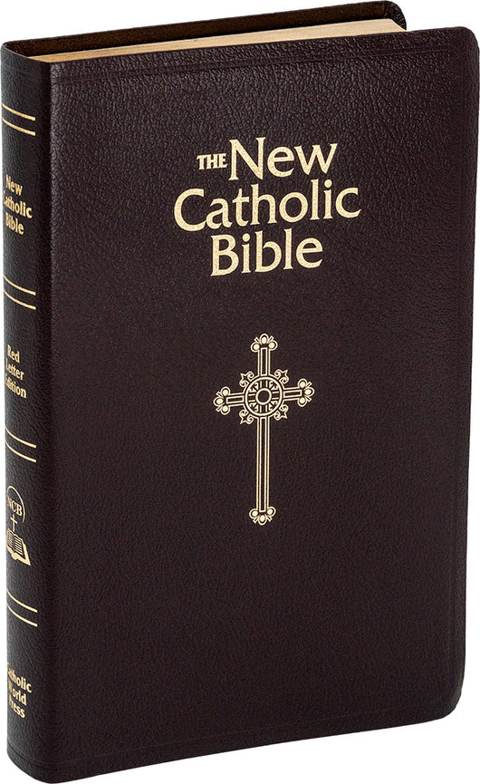 NCB Deluxe Gift Bible - Indexed