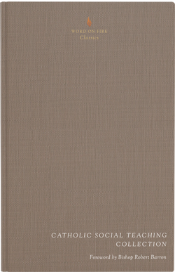 Catholic Social Teaching Collection  Word on Fire Classics Foreword by Bishop Robert Barron