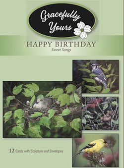 Happy Birthday Sweet Songs - 12 Cards with Scripture and Envelopes