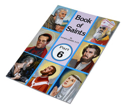 Book of Saints ; part 6 by Father Lovasik S. V. D.