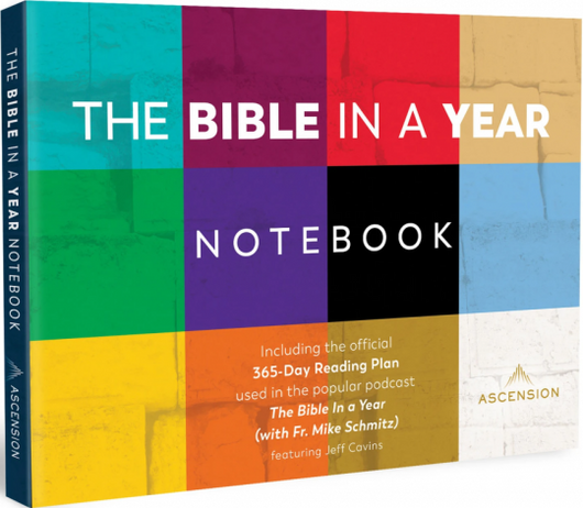 The Bible in a year - Notebook