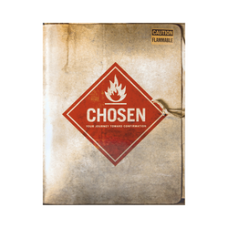 Chosen: Your Journey Toward Confirmation Leaders Guide by Chris Stefanick Ron Bolster