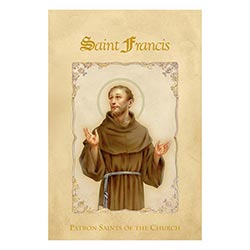 Saint Francis - Patron Saints of the Church