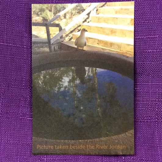 Prayer to the Holy Spirit Card