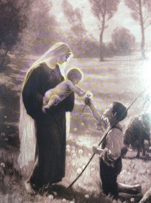 The Gift of the Shepherd Greeting Card