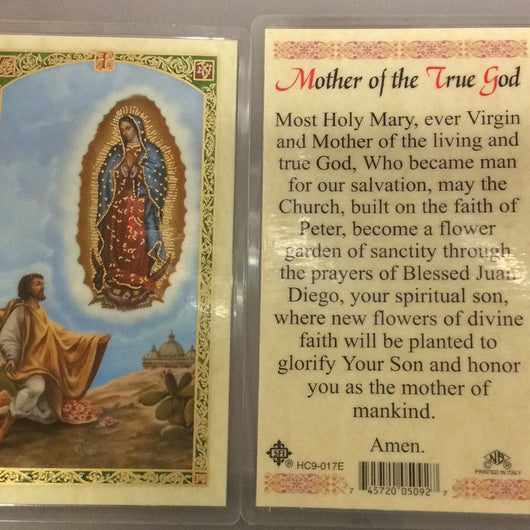 Mother of the True God  Prayer Card