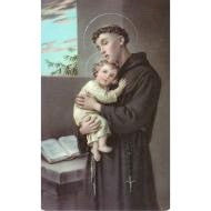 Saint Anthony  Prayer to Prayer Card